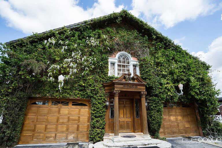 house decorated with bushes