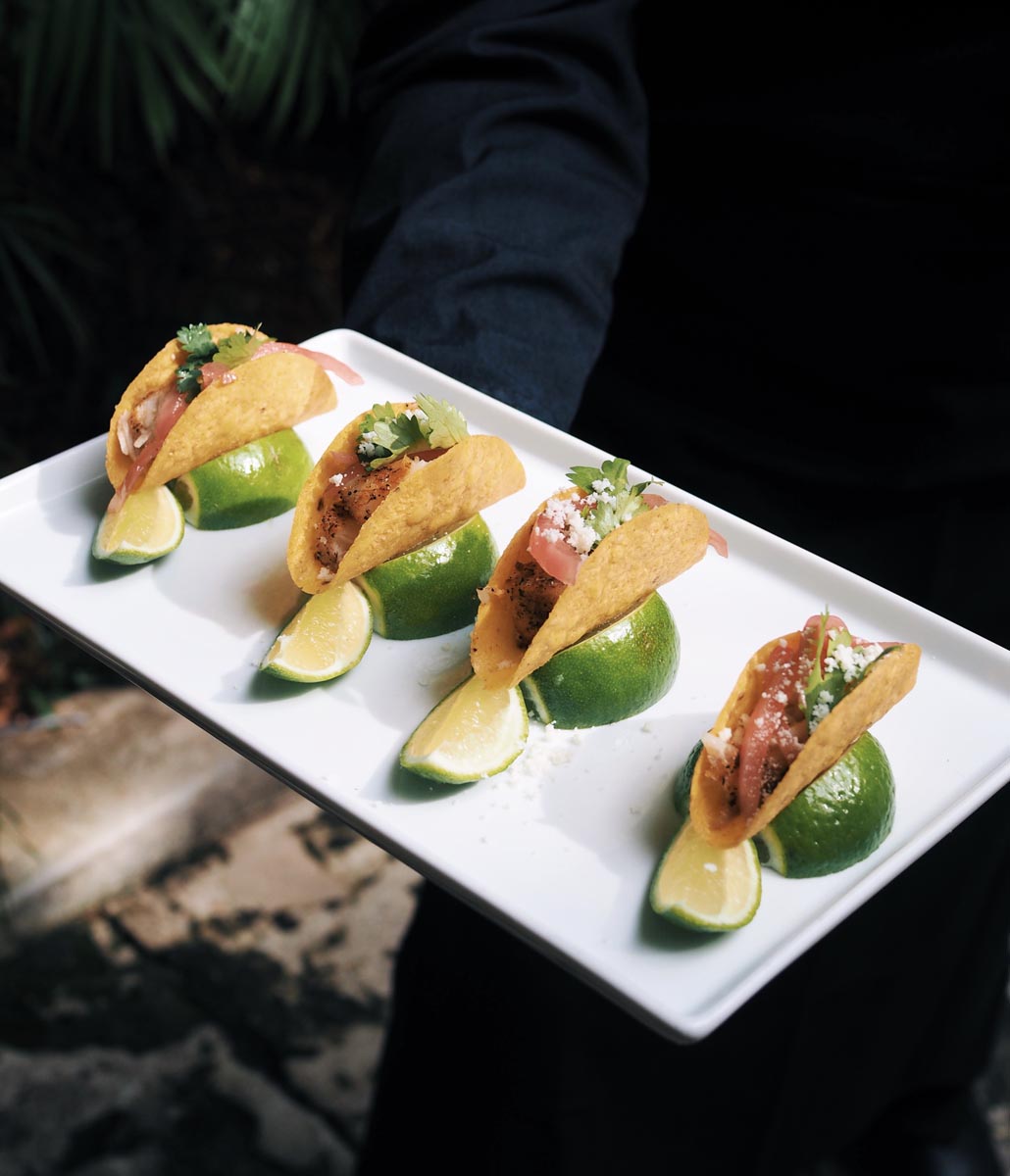 miniature fish tacos