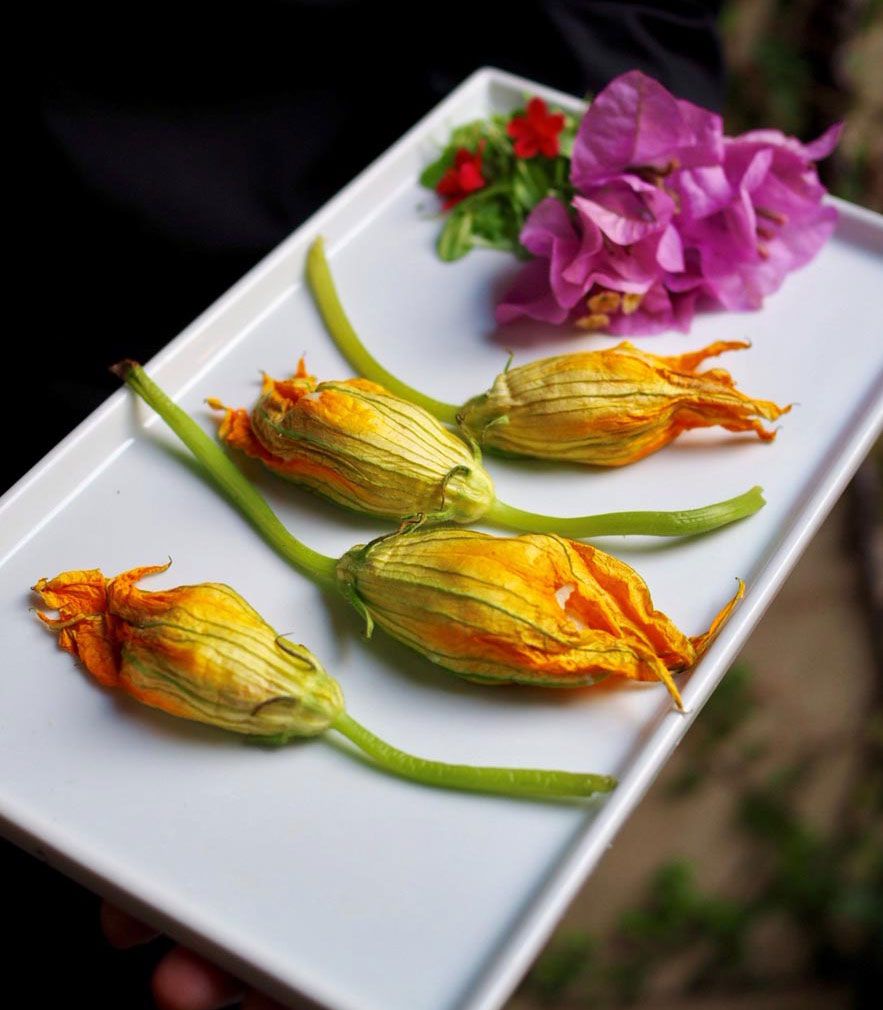 zucchini blossoms