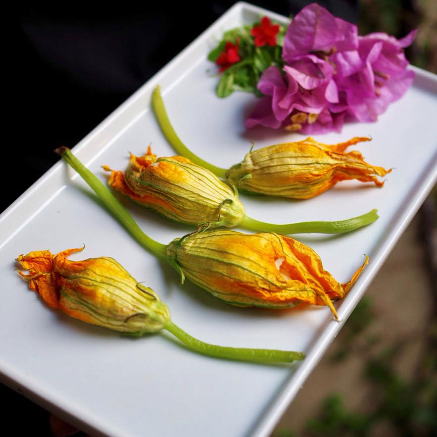 zucchini blossoms